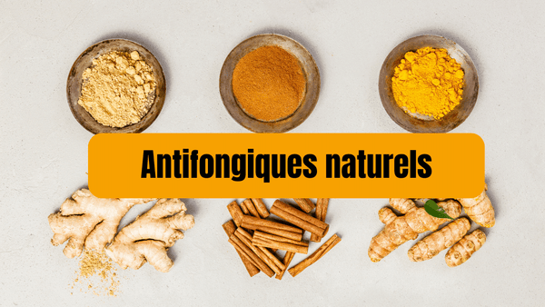 antifongiques naturels