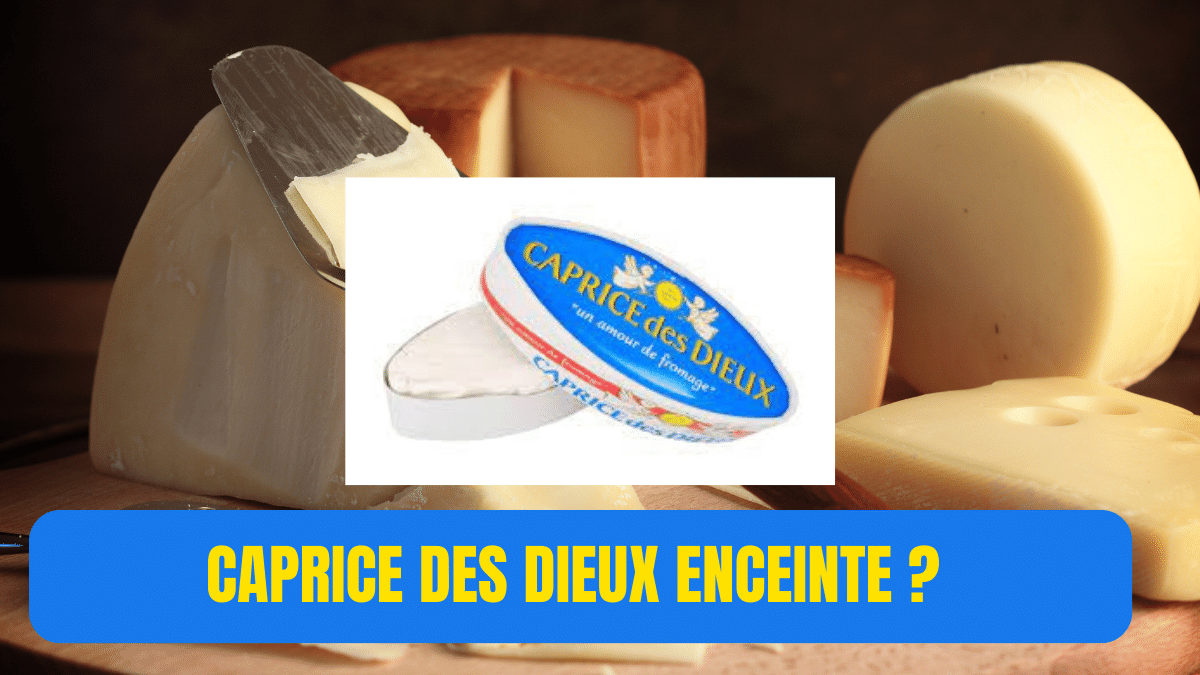 Caprice des Dieux enceinte