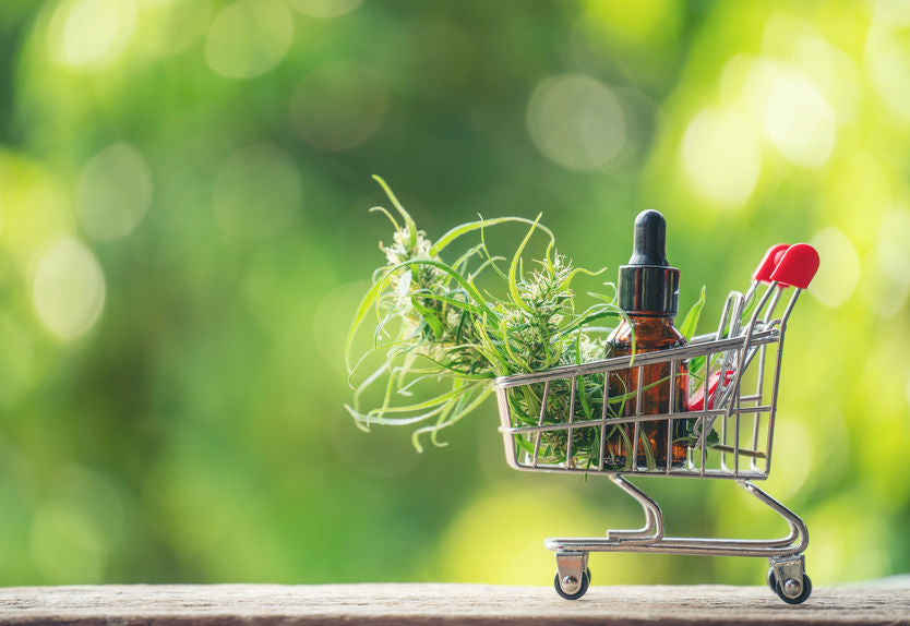 CBD CANNABIDIOL