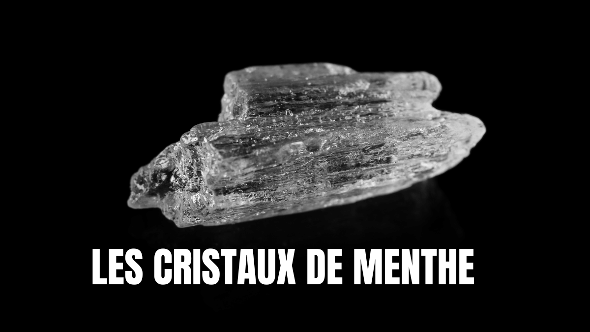 cristaux de menthe