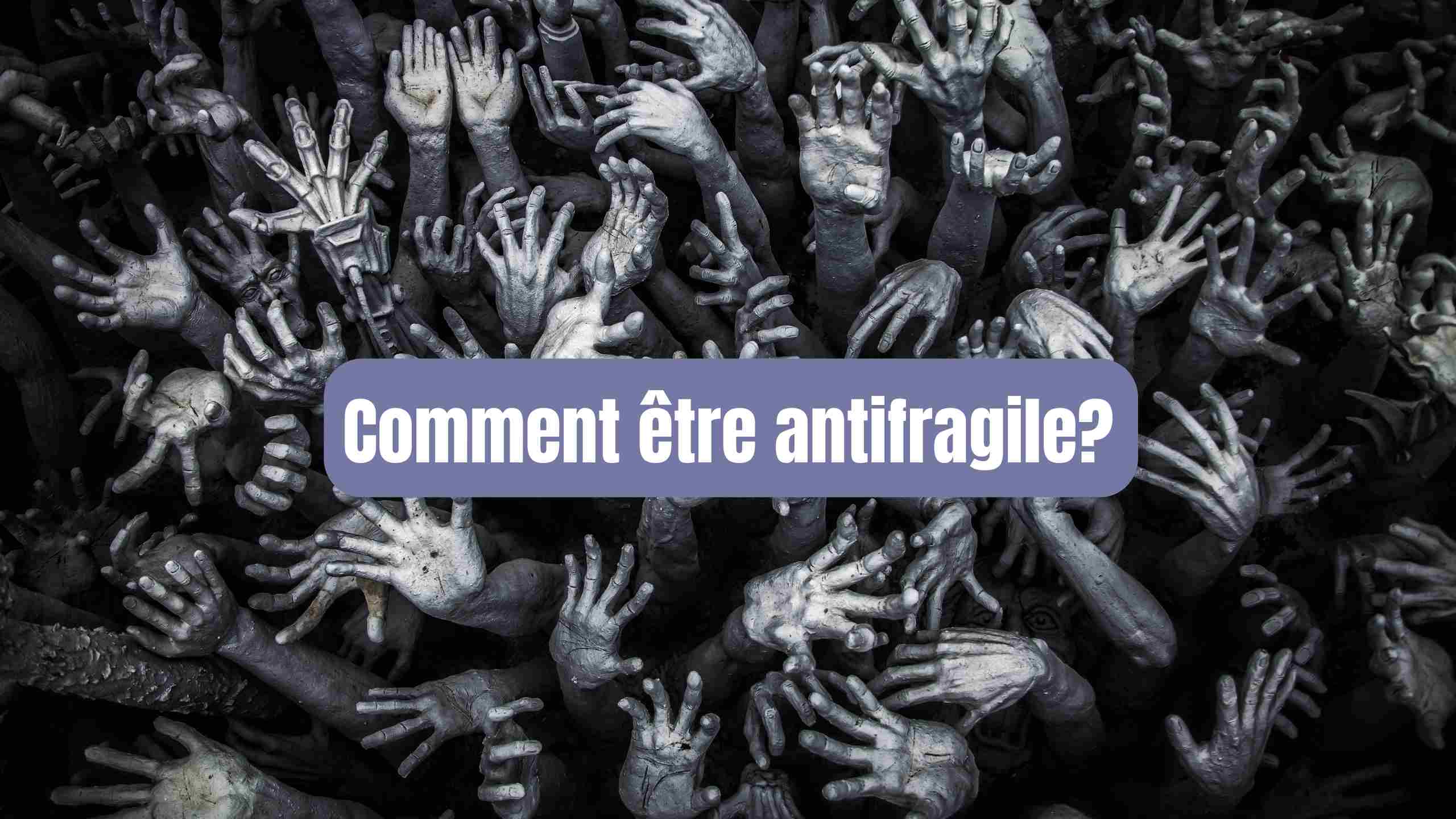comment etre antifragile