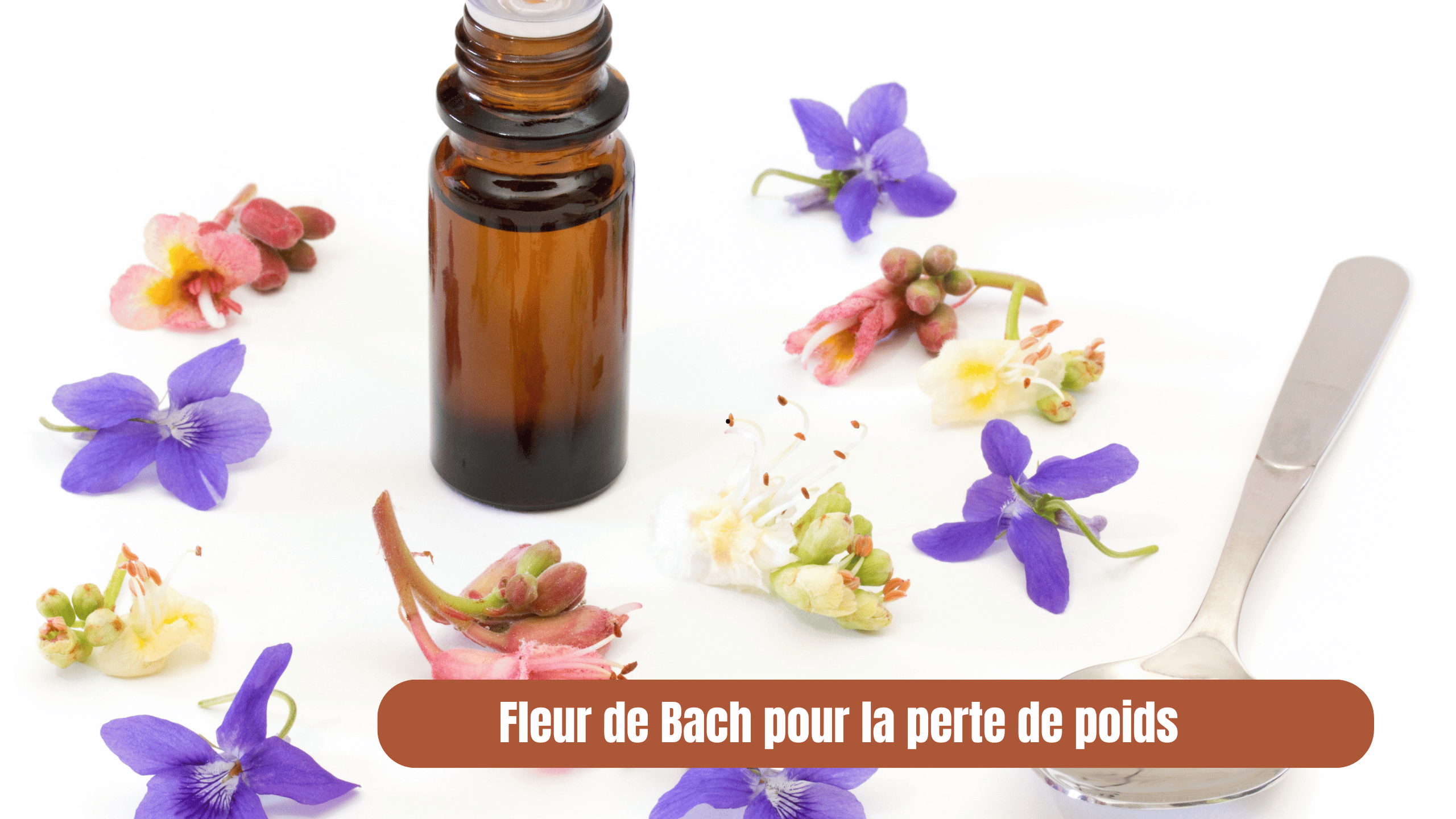 L'efficacité des Fleurs de Bach pour maigrir: tous les avis