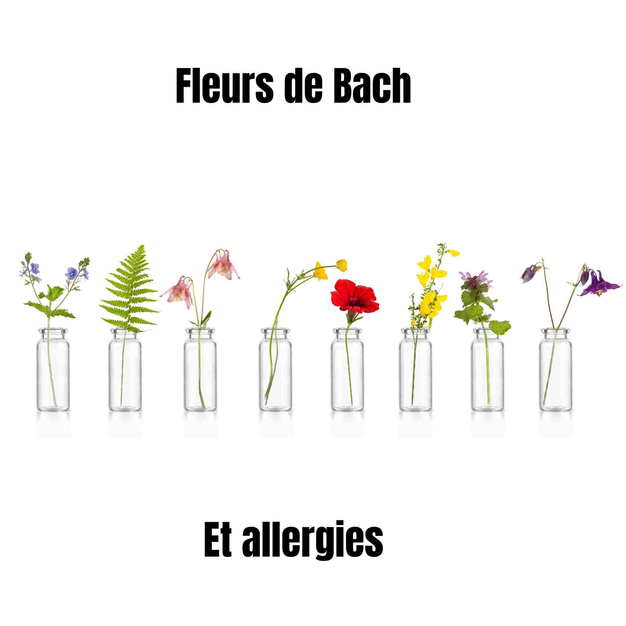 Fleurs de Bach et allergies : Guide accessible pour tous