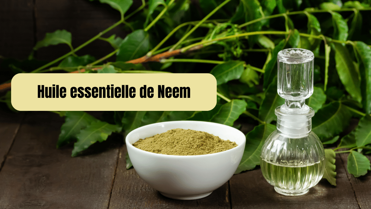 huile essentielle de neem