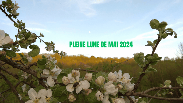 PLEINE LUNE MAI 2024