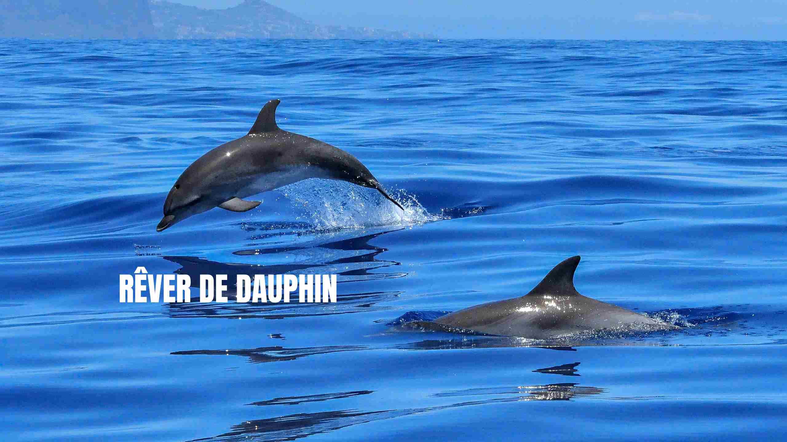 rever de dauphin