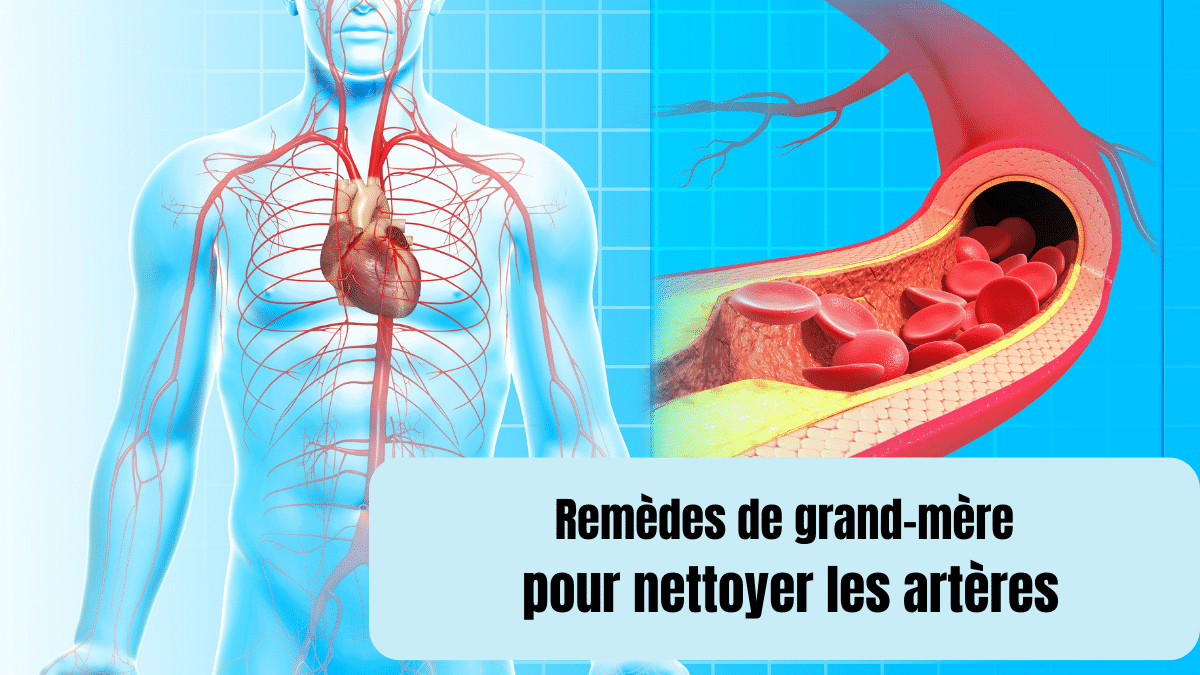 remede de grand-mere pour nettoyer les arteres