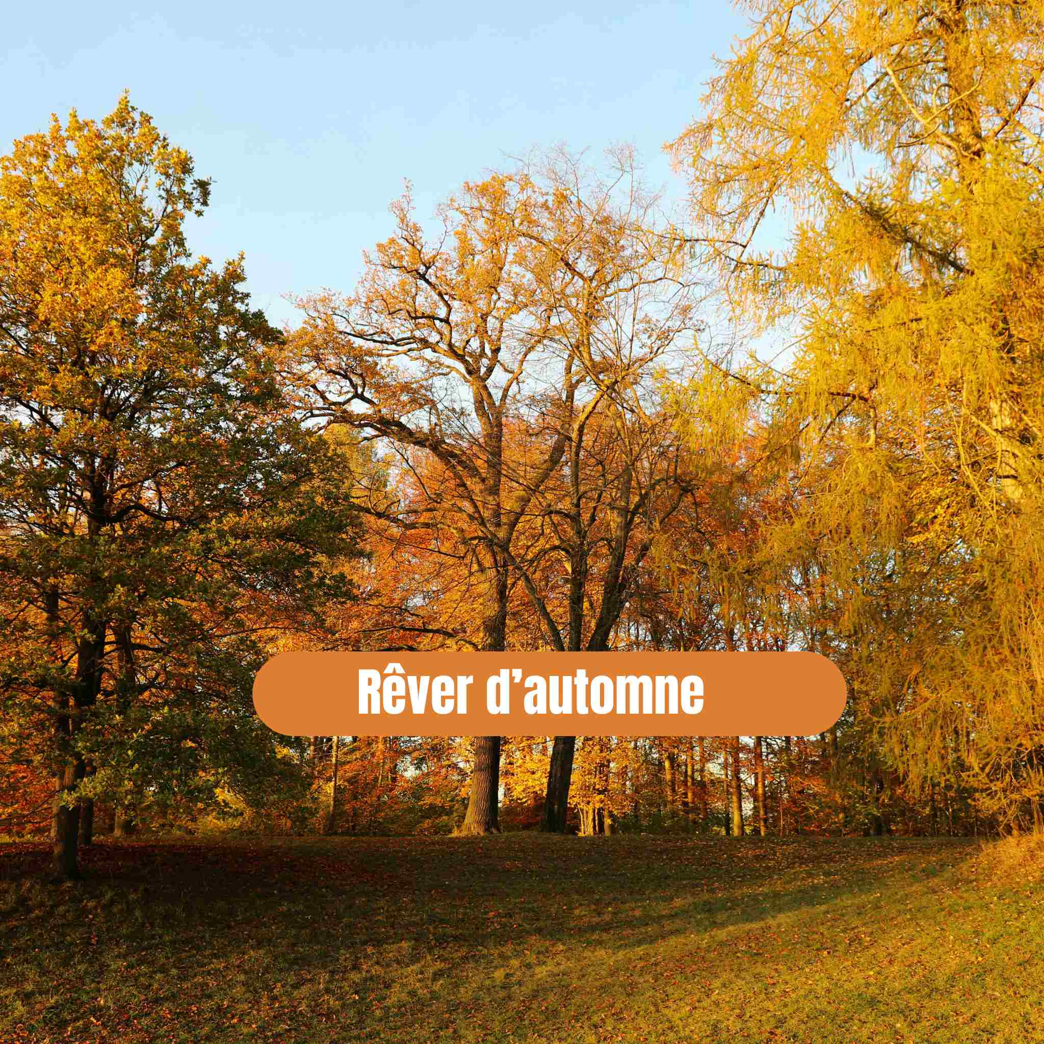 Rêver d’automne – Significations, symbolique et messages spirituels