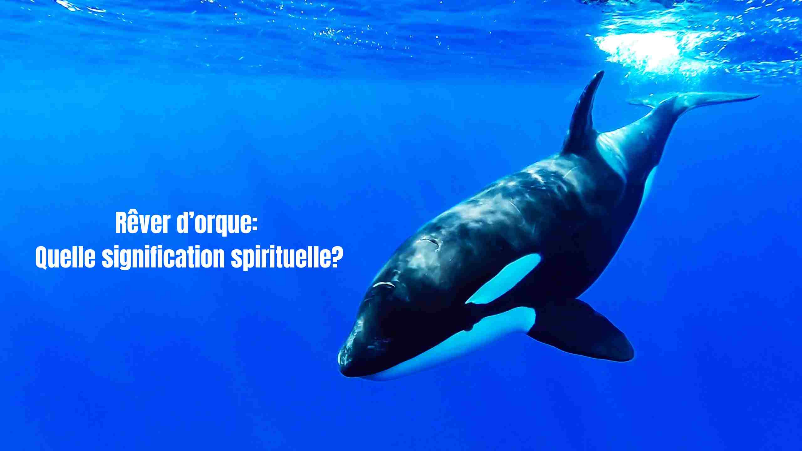 Que signifie rêver d’orques ? Symbolique & messages profonds