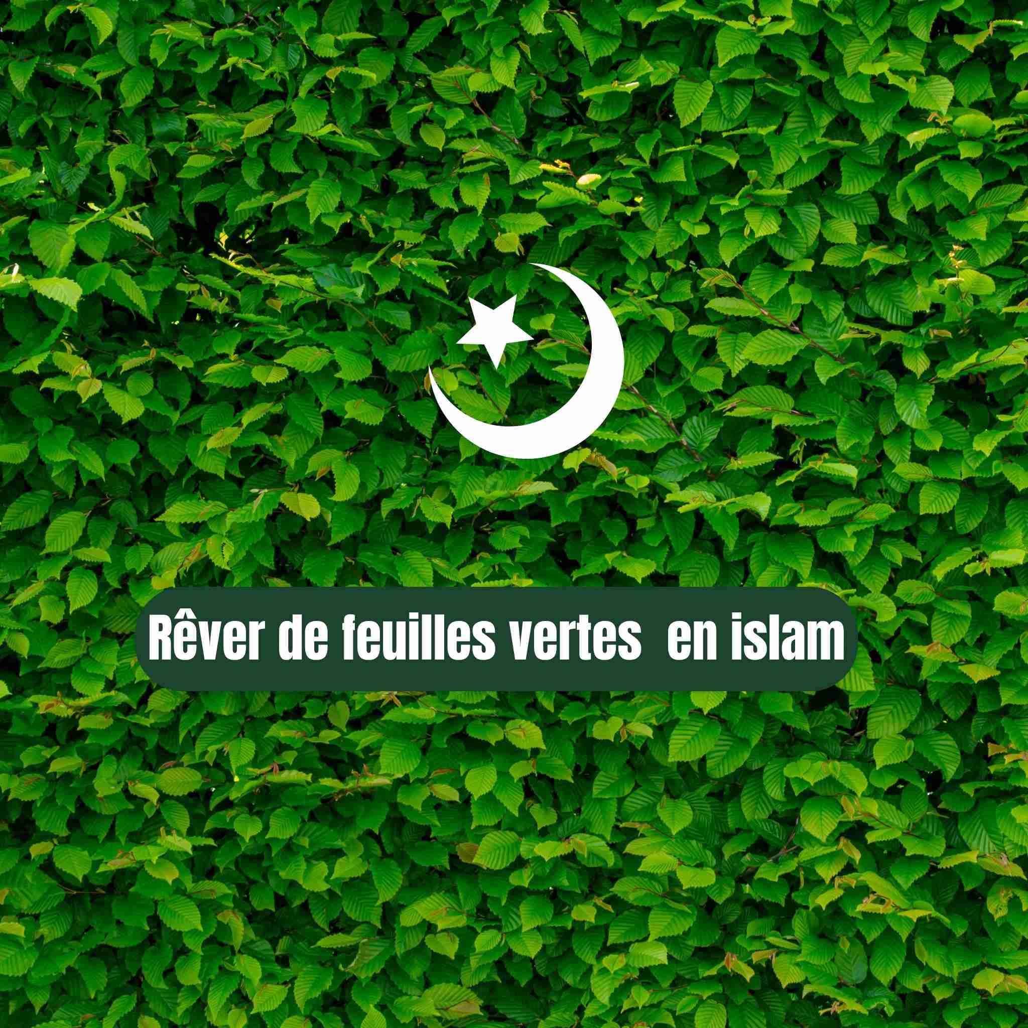 Rêver de feuilles vertes en Islam : symbole, signification et messages spirituels