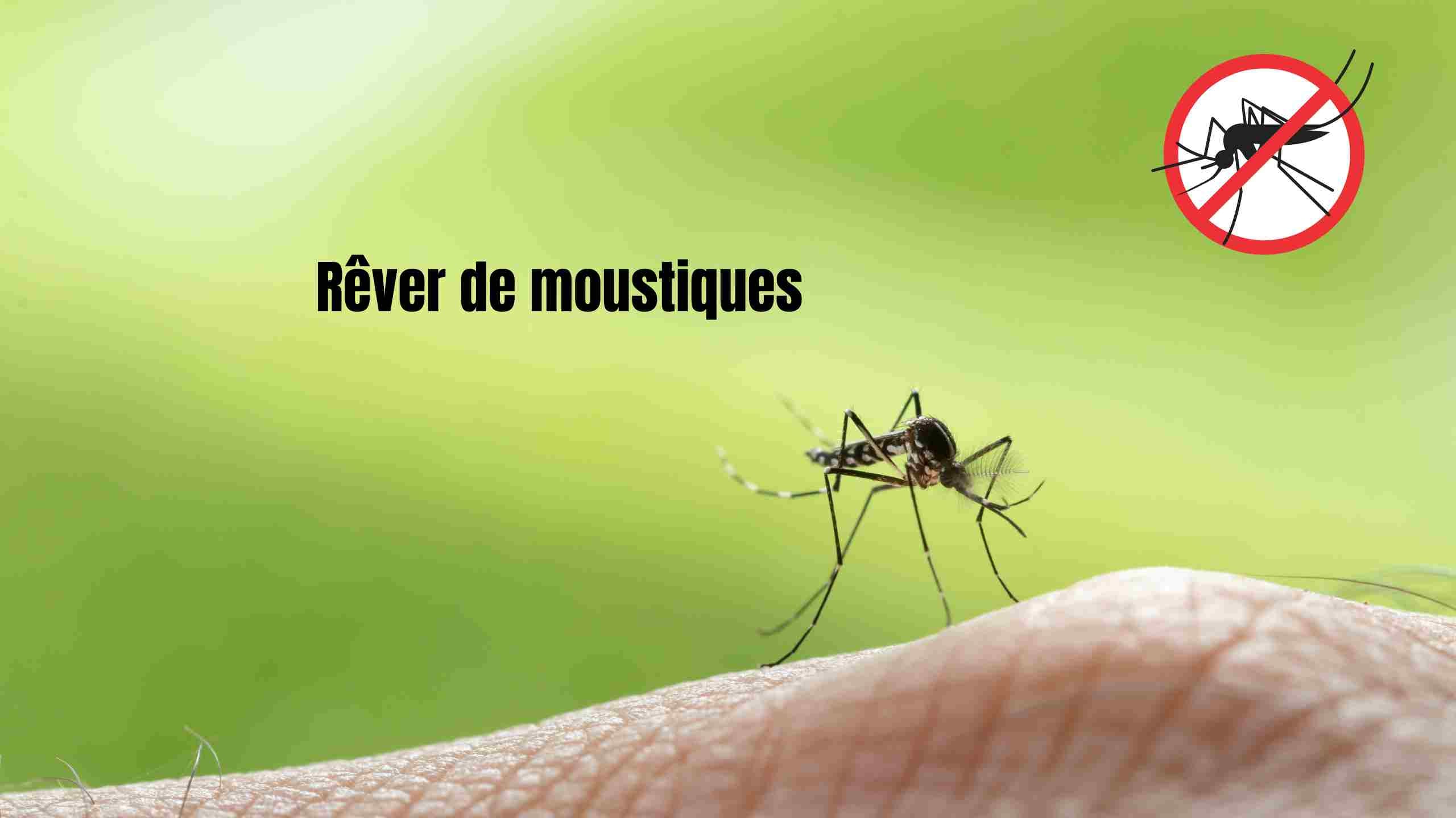 Rêver de moustiques : que faut-il comprendre ?