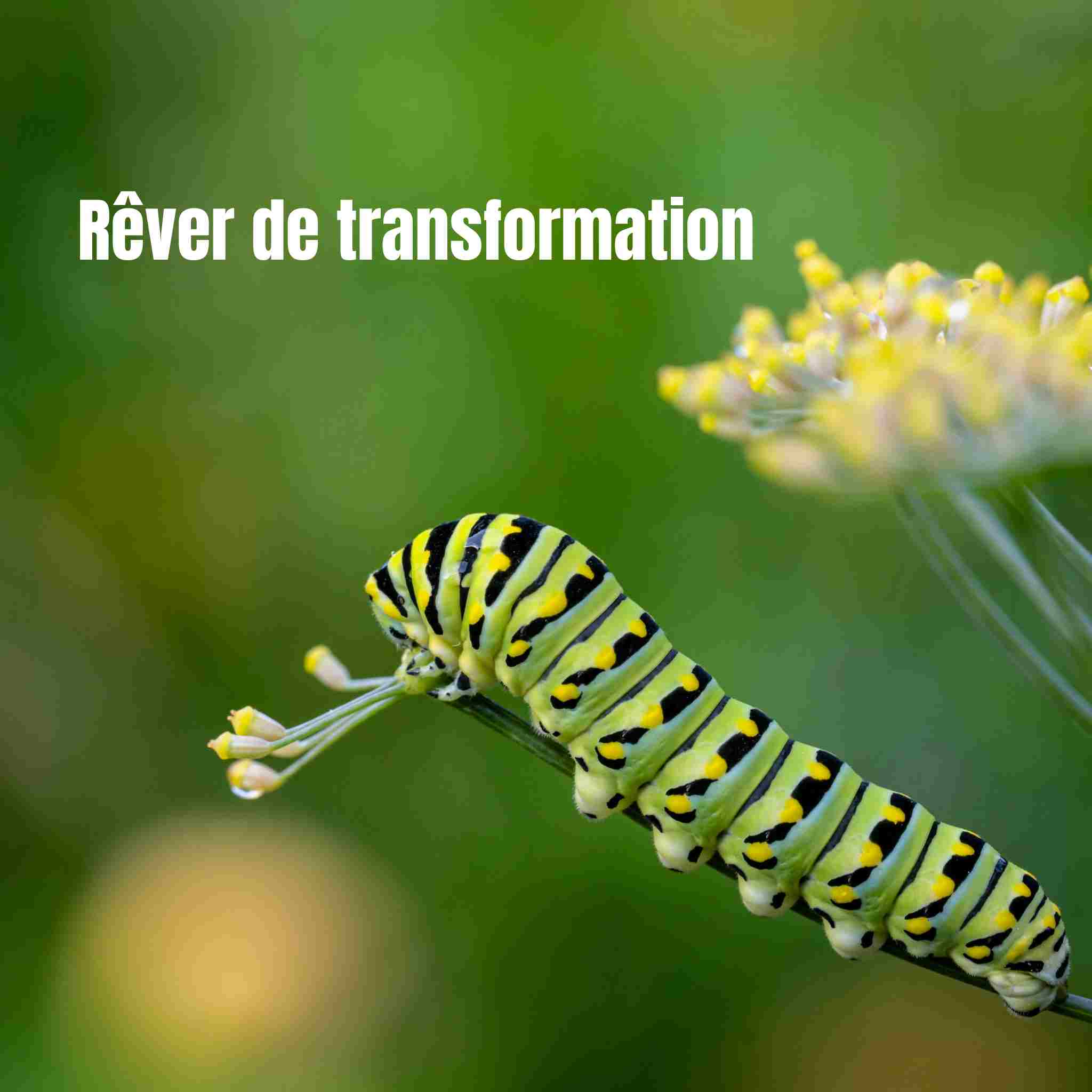 Rêver de transformation : signification, symbole et spiritualité de la métamorphose
