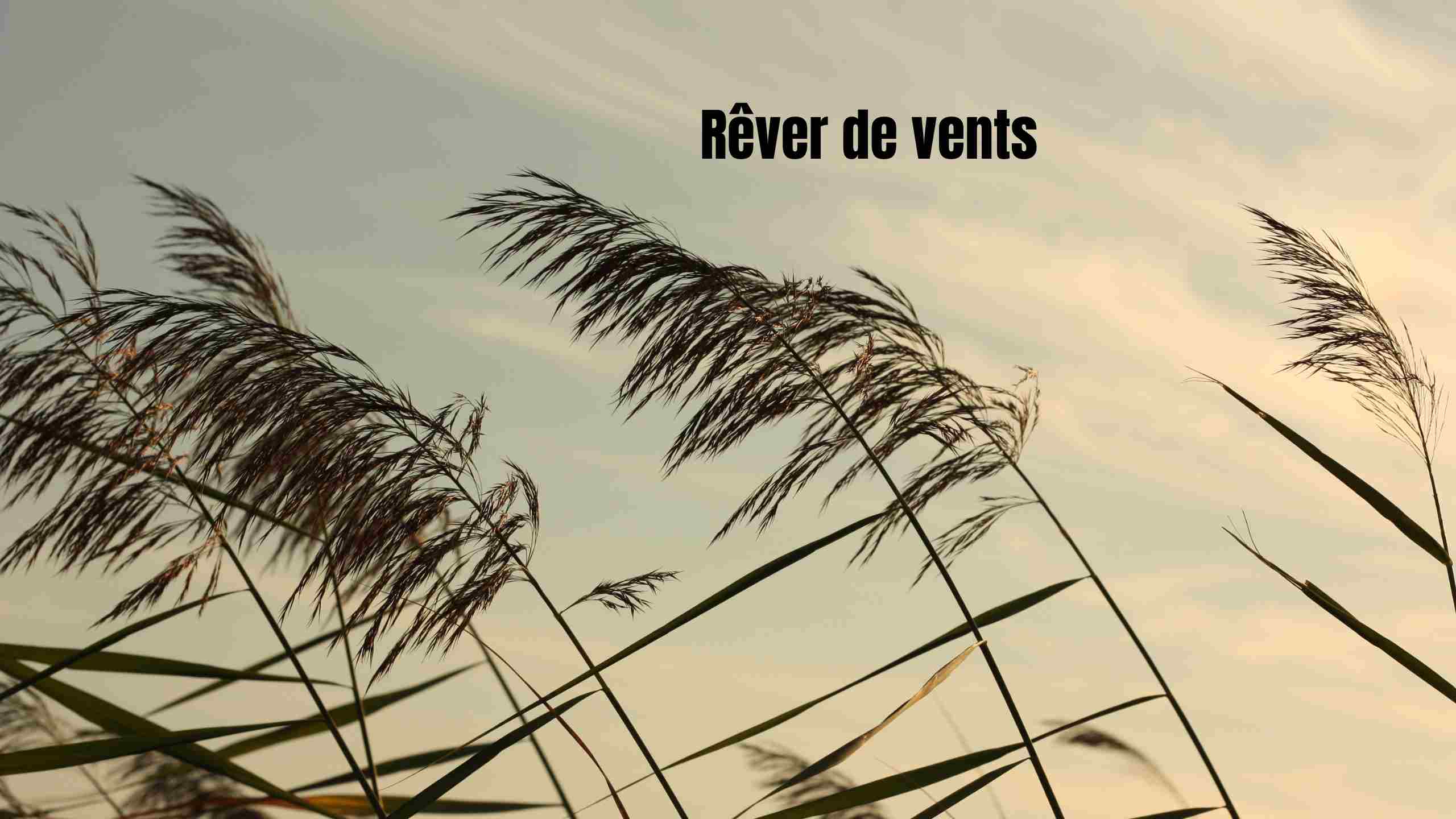 rever de vents forts