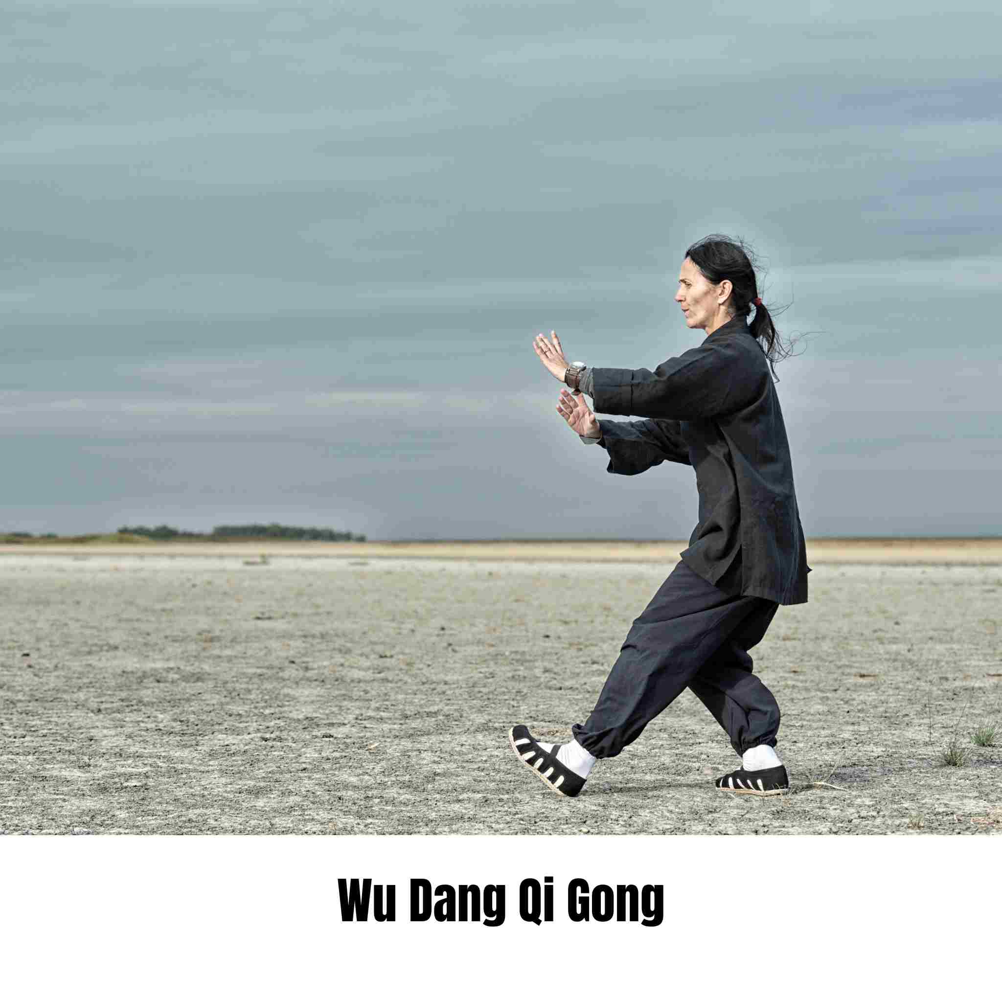 Wu Dang Qi Gong : cet art ancien qui calme tout… même le bruit intérieur