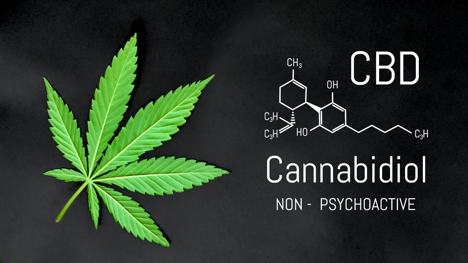Pourquoi adopter la résine CBD pour son bien-être ?