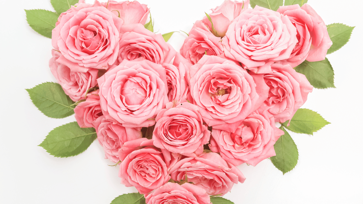 Amour et bouquet de roses en cœur