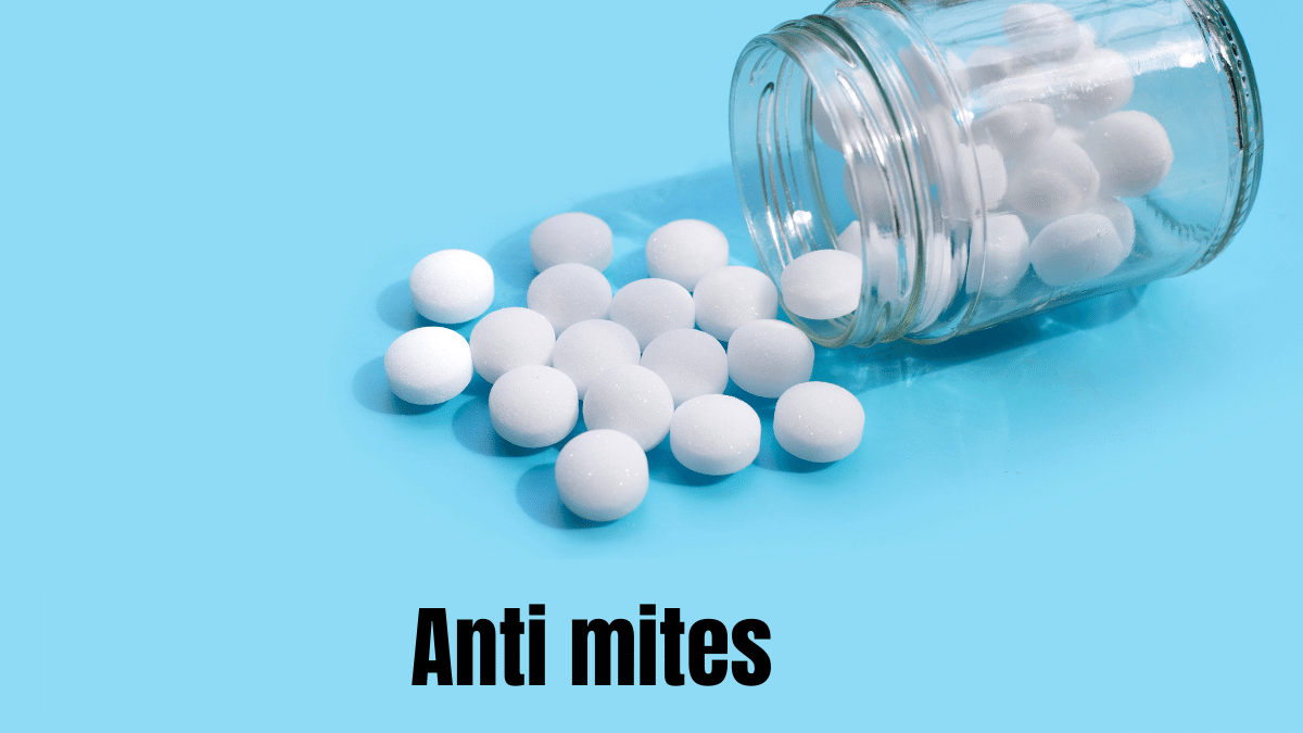 Éliminez les Mites de votre maison : Solutions naturelles et efficaces