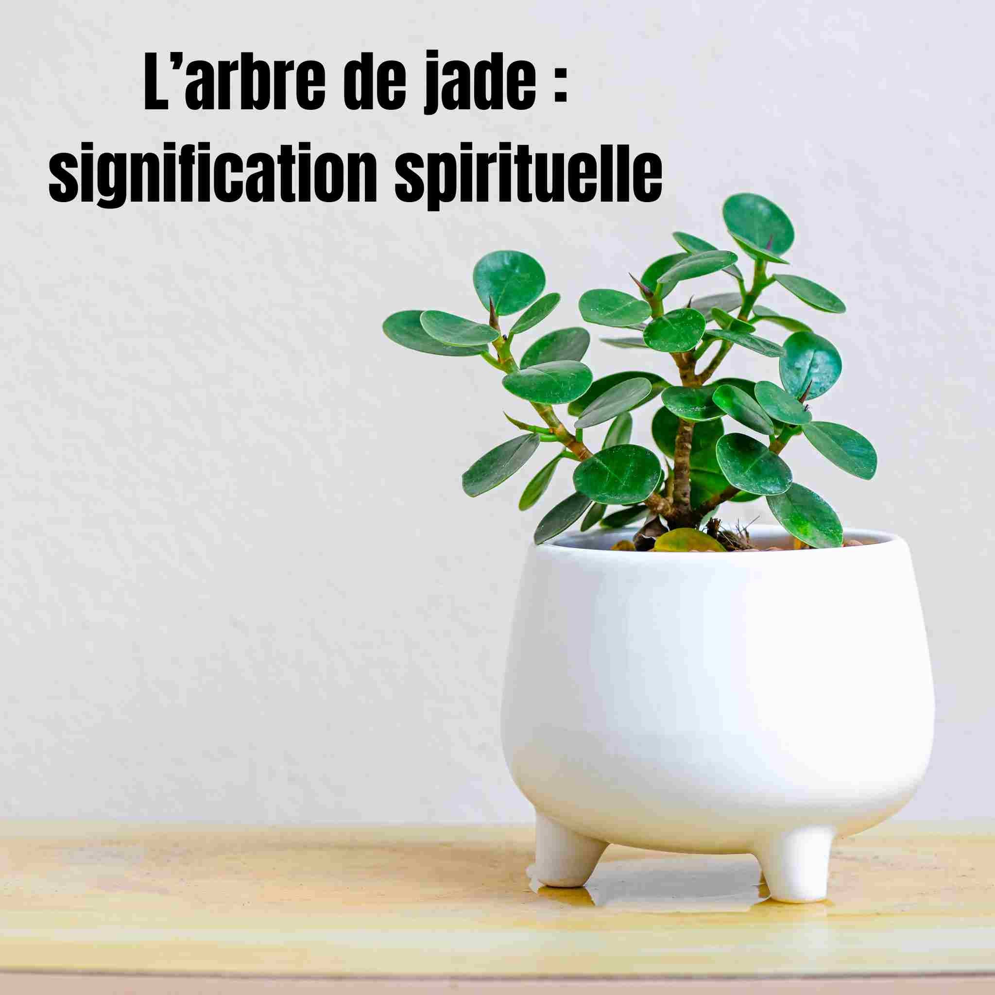 arbre de jade signification spirituelle