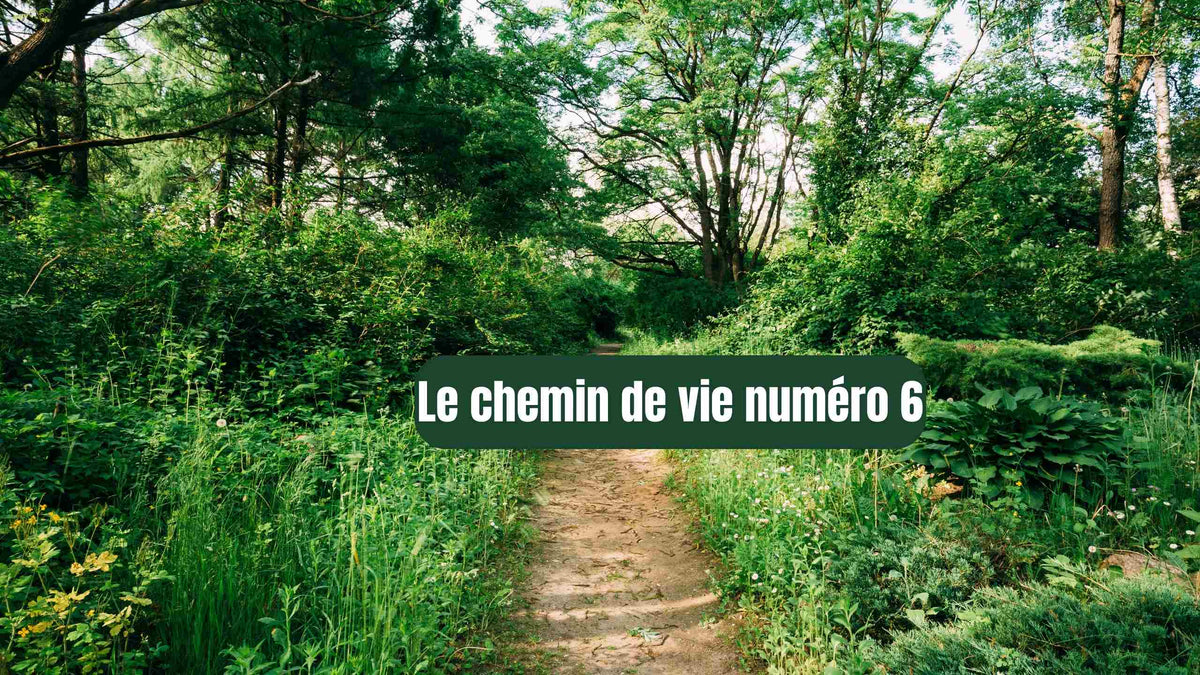 CHEMIN DE VIE 6