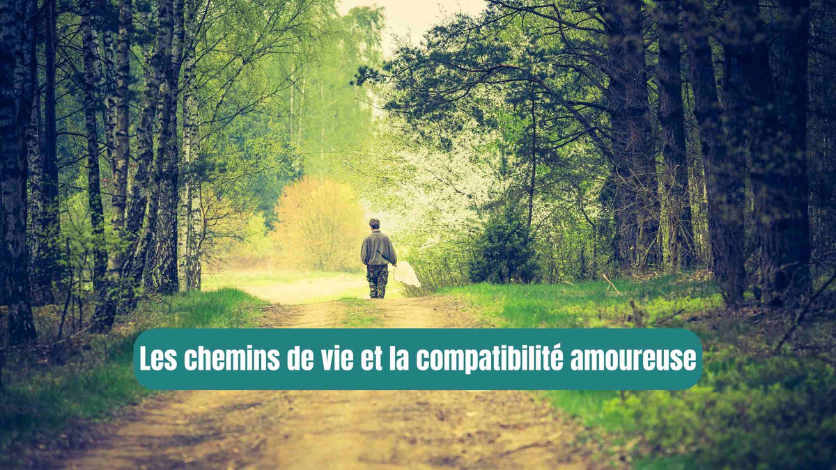 Compatibilité des chemins de vie : quels numéros vont ensemble ?