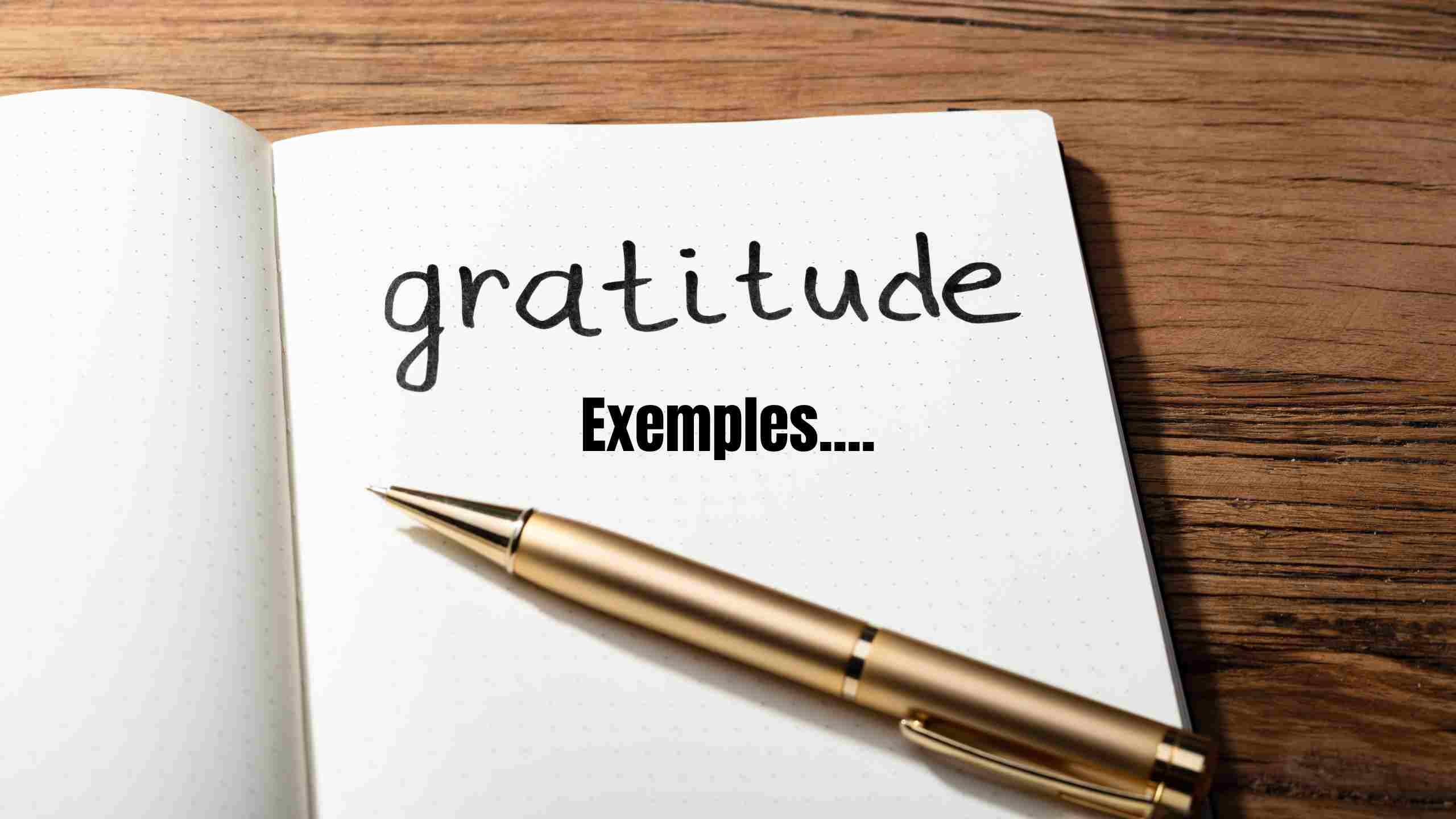 journal de gratitude exemple