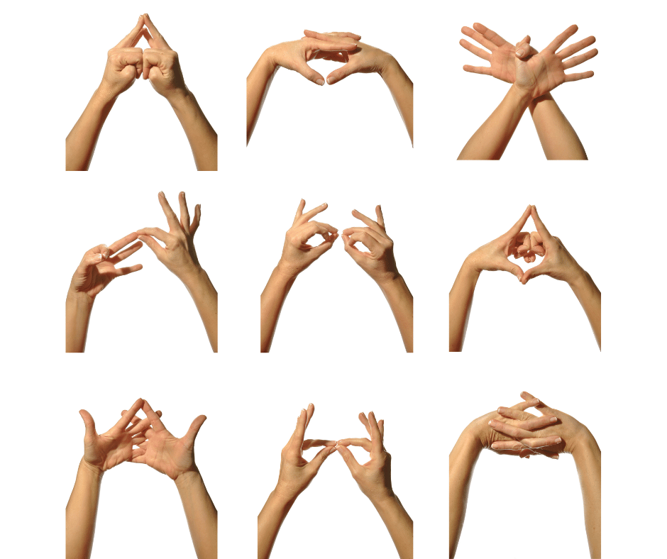 Tous les mudras et leurs significations (pdf)