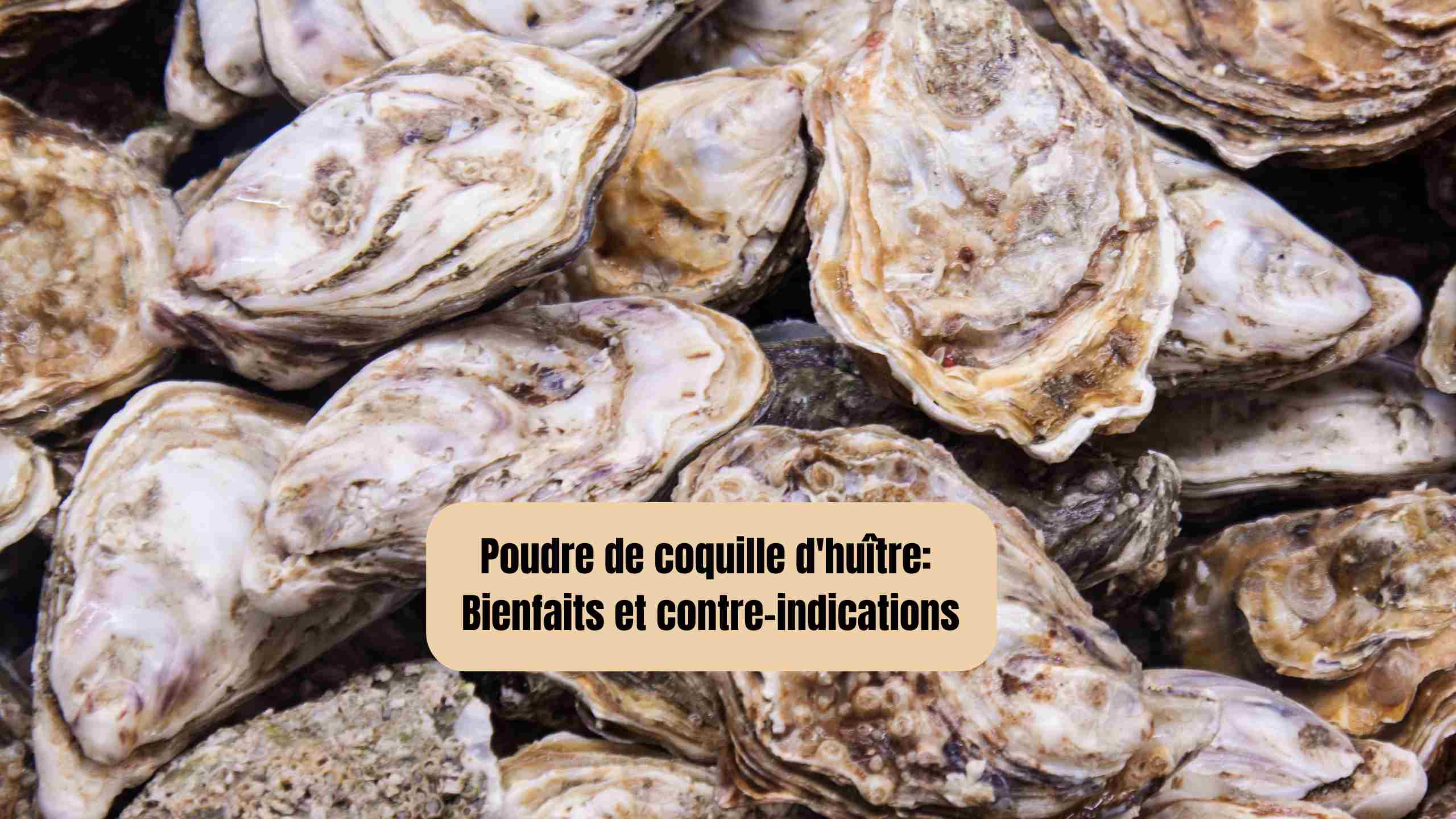 Poudre de coquille d'’huître: Bienfaits et contre-indications