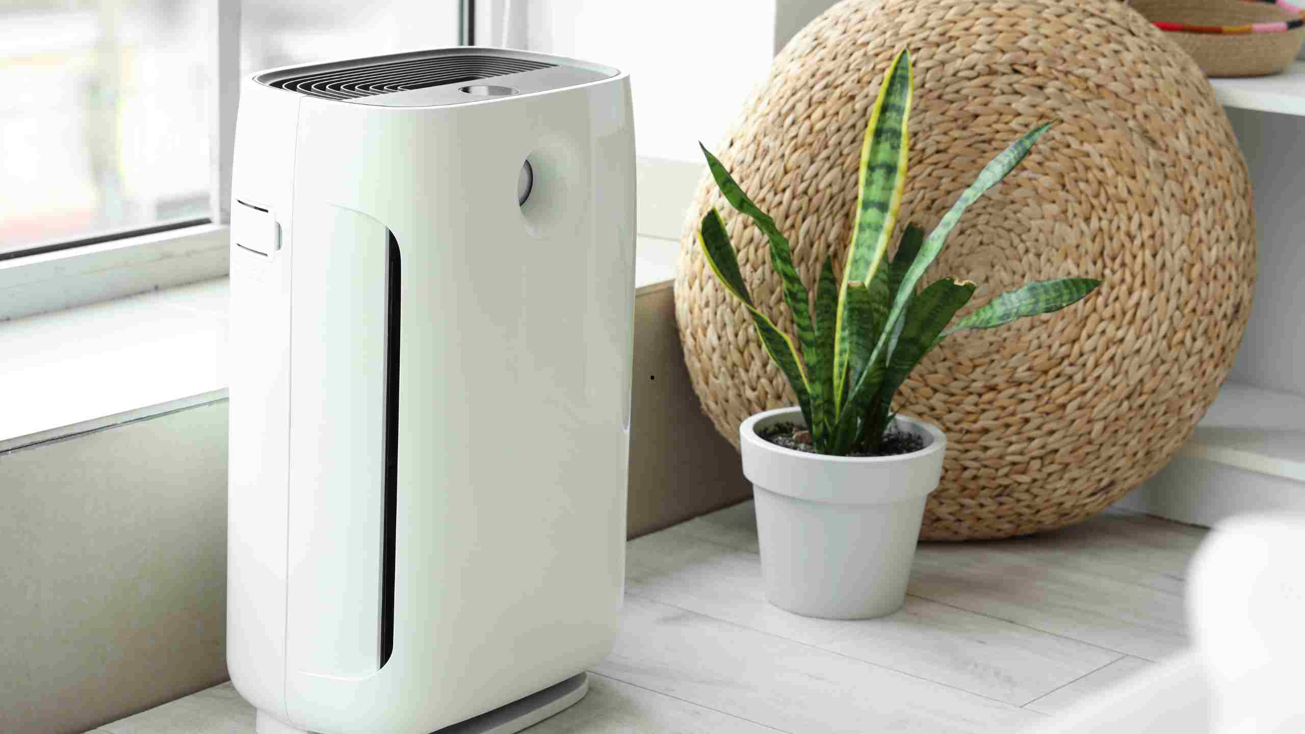 purificateur d'air