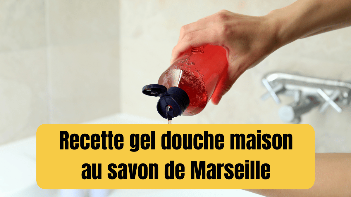 recette gel douche maison savon de marseille