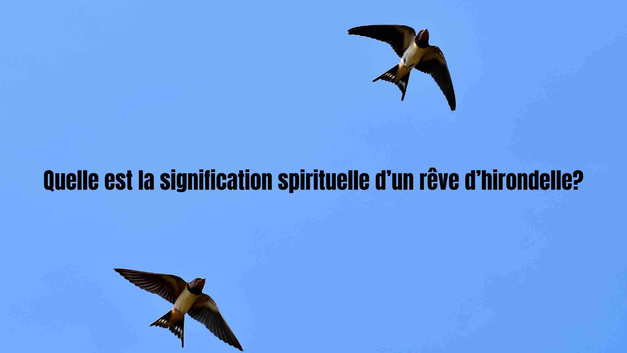 reve d'hirondelle