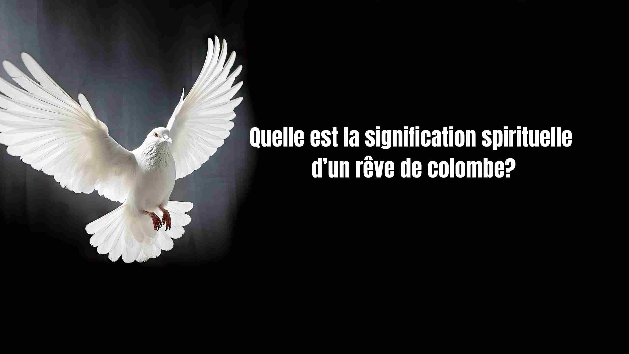 reve de colombe