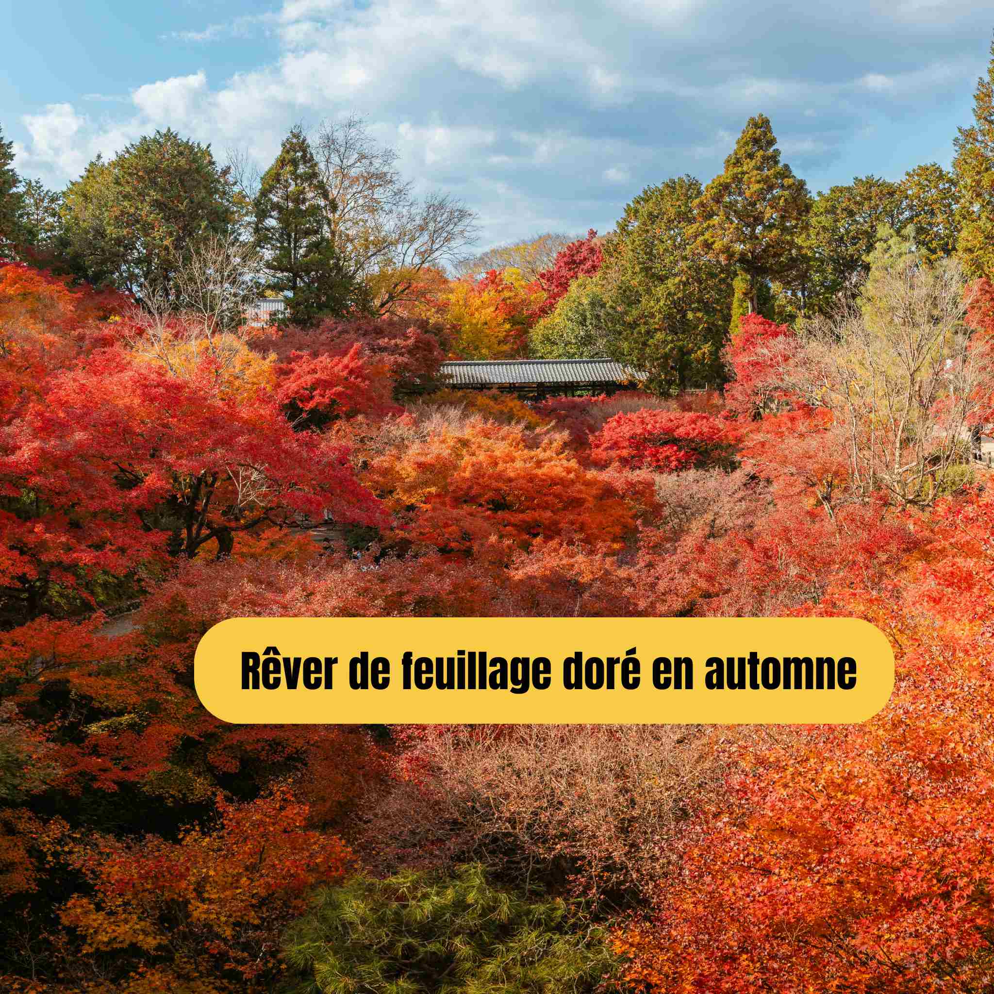 Rêver de feuillage doré en automne : symbolisme intérieur et messages de l’âme