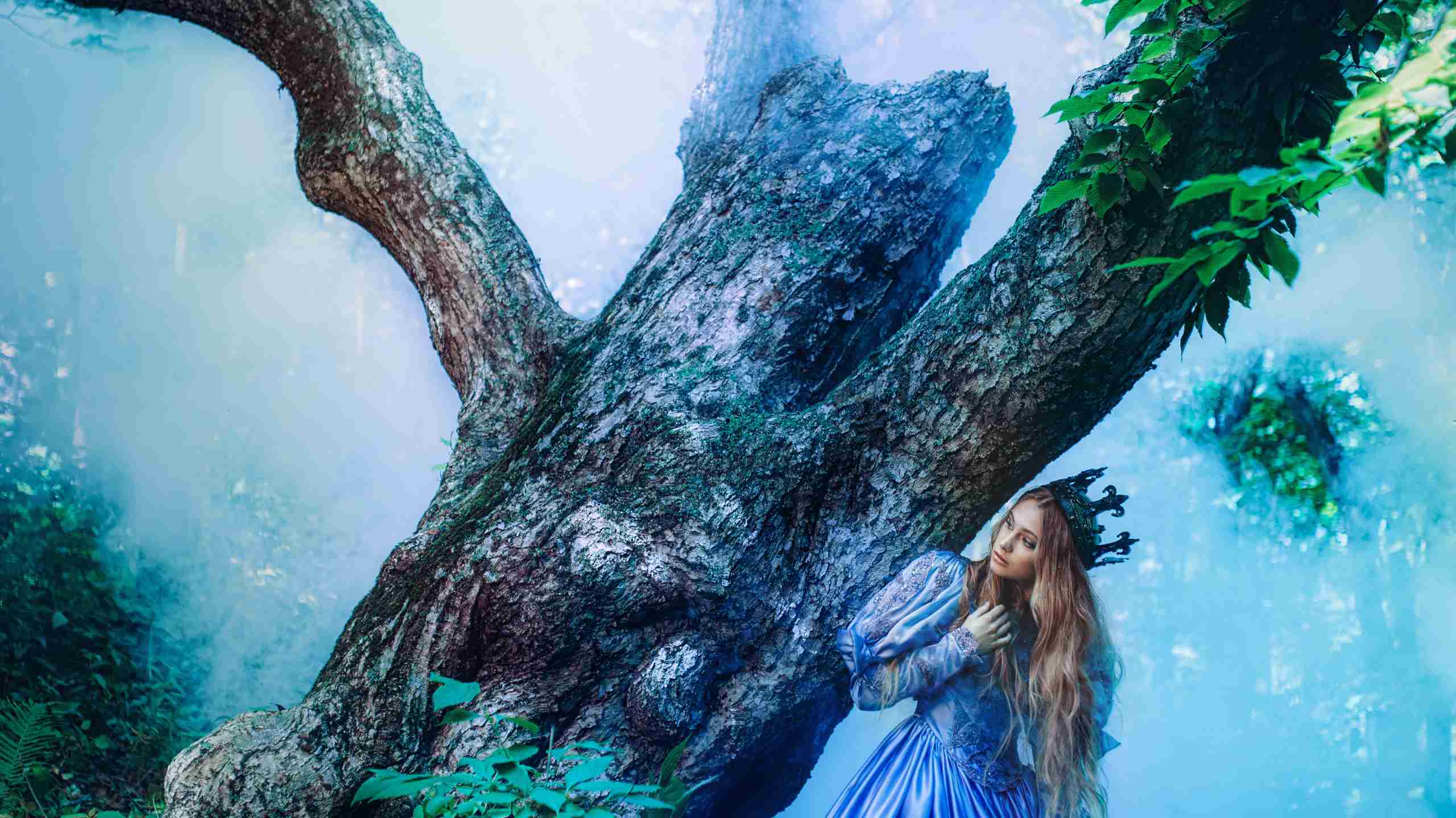 rever de robe de princesse