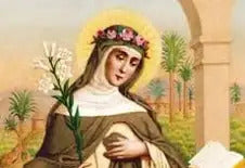 remedes de sainte hildegarde