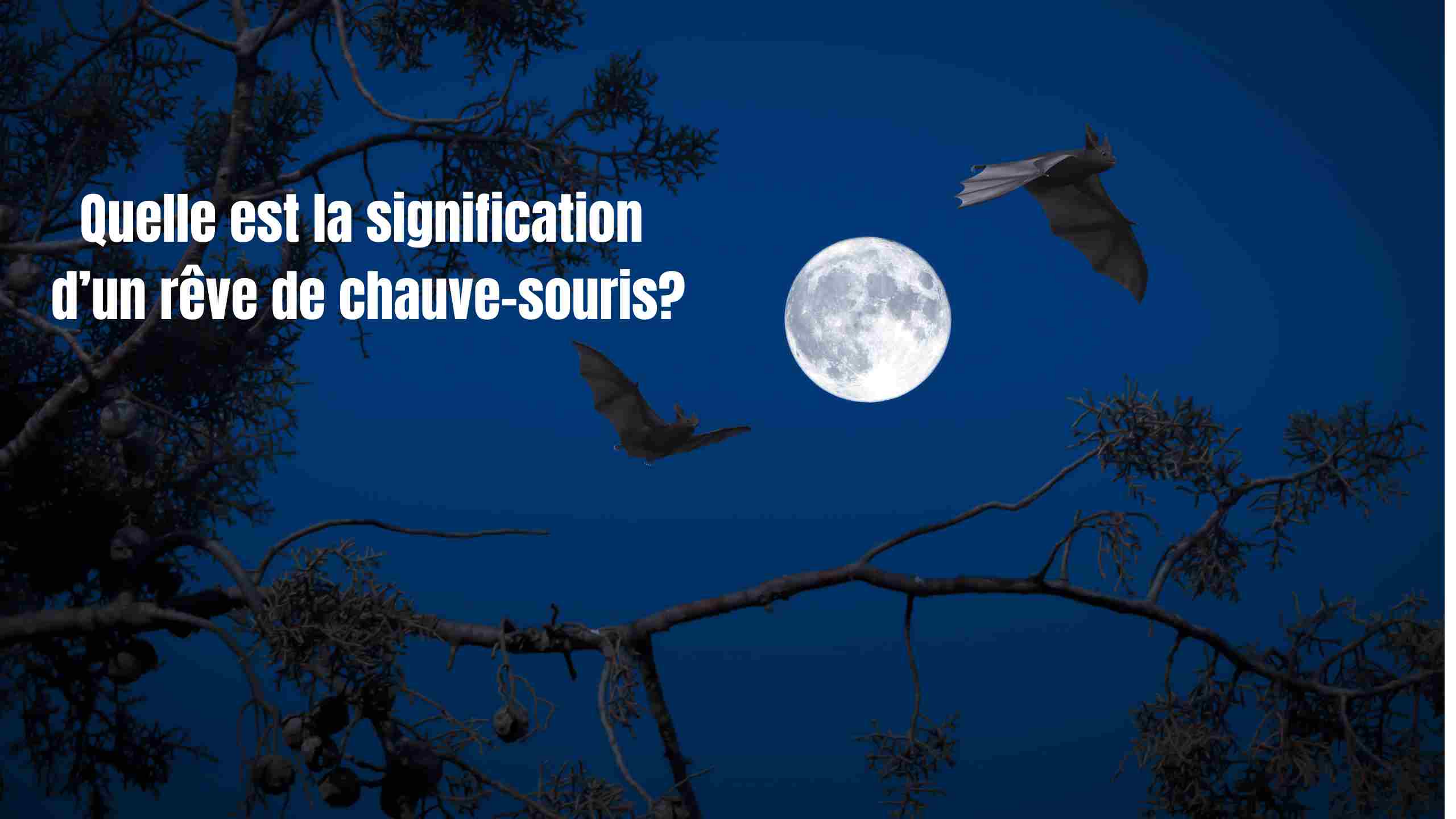 Rêver de chauve souris