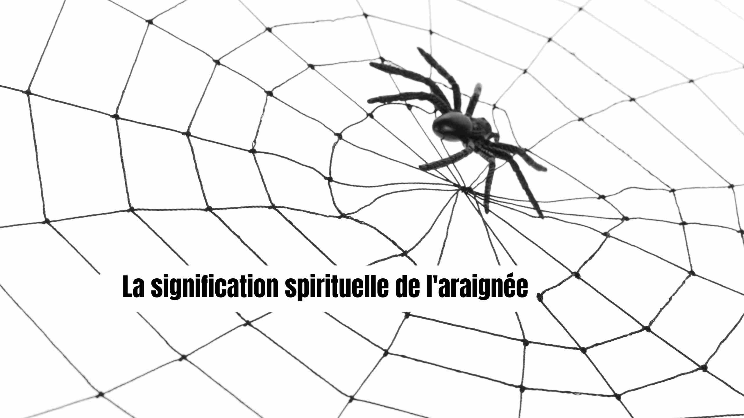 araignée signification spirituelle