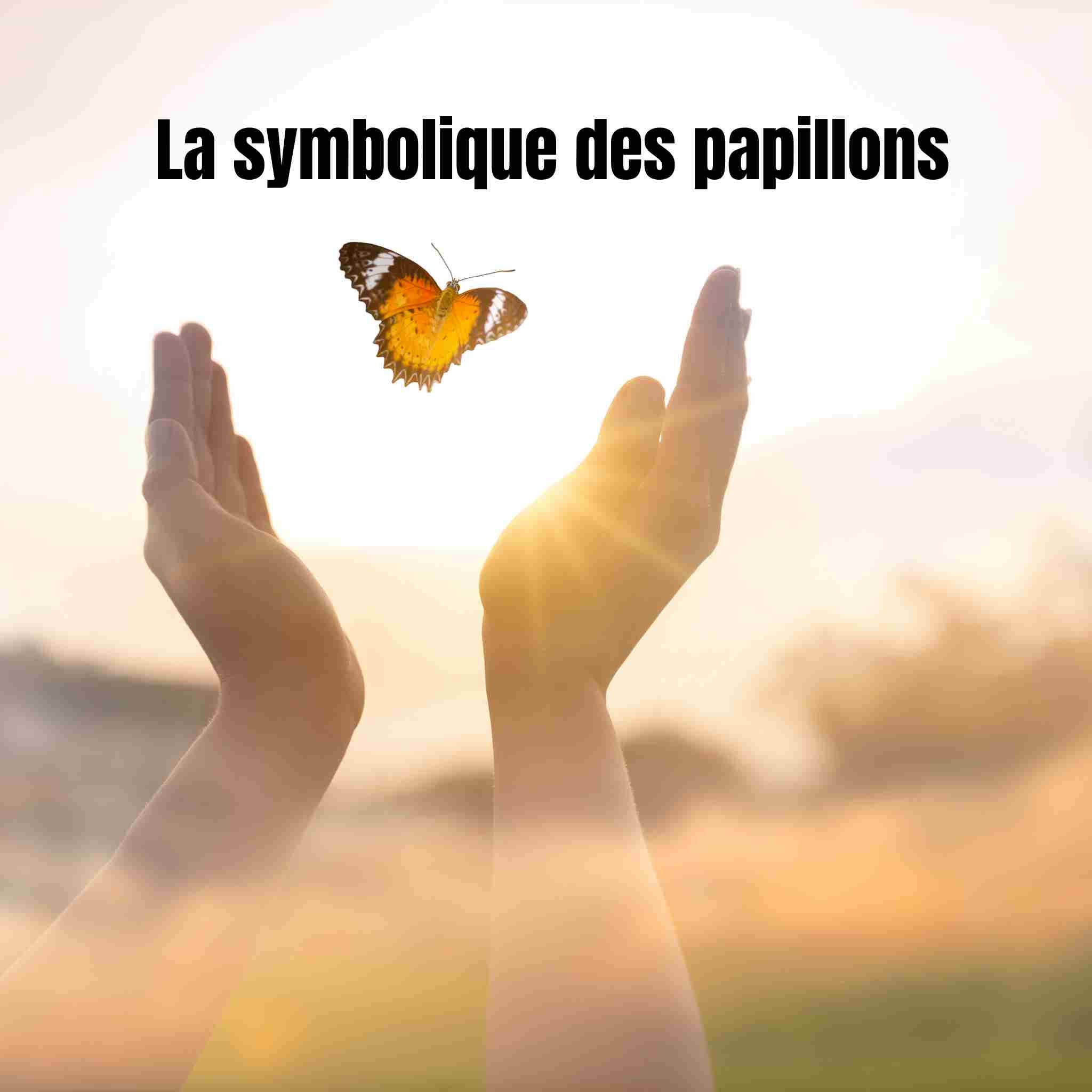 Symbolique des papillons : messages, métamorphoses et signes invisibles