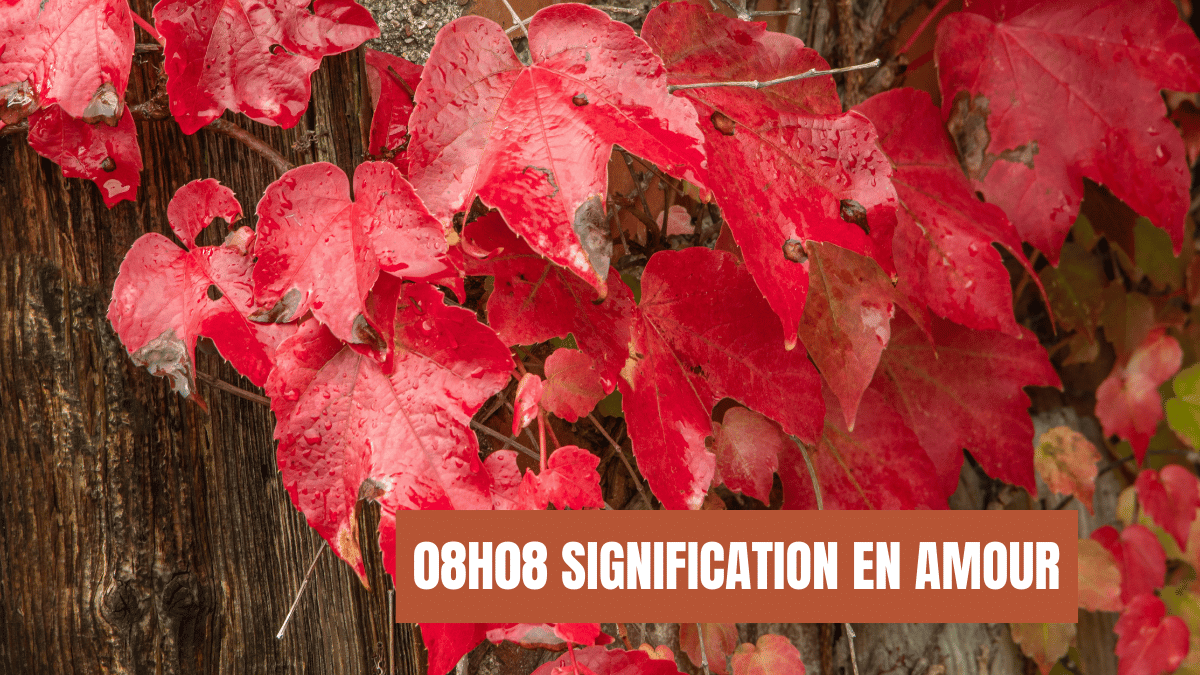 08H08 signification en amour