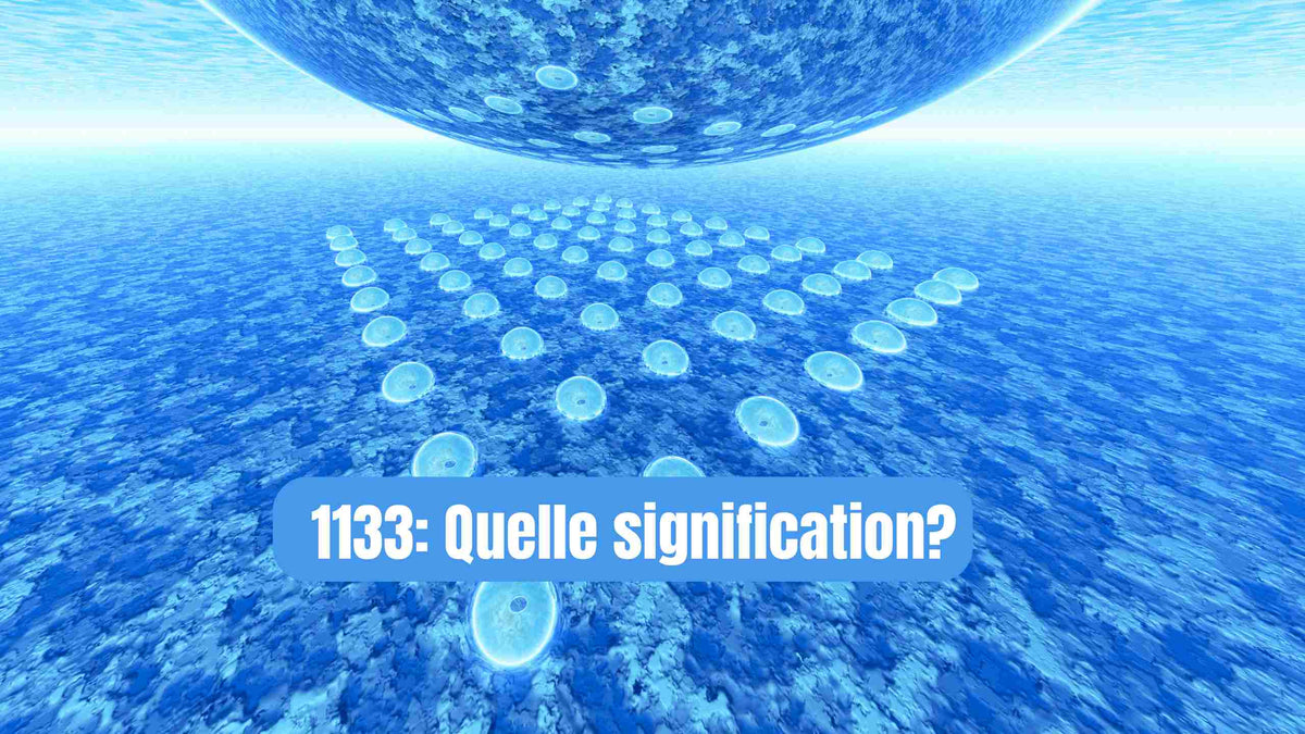 1133 SIGNIFICATION