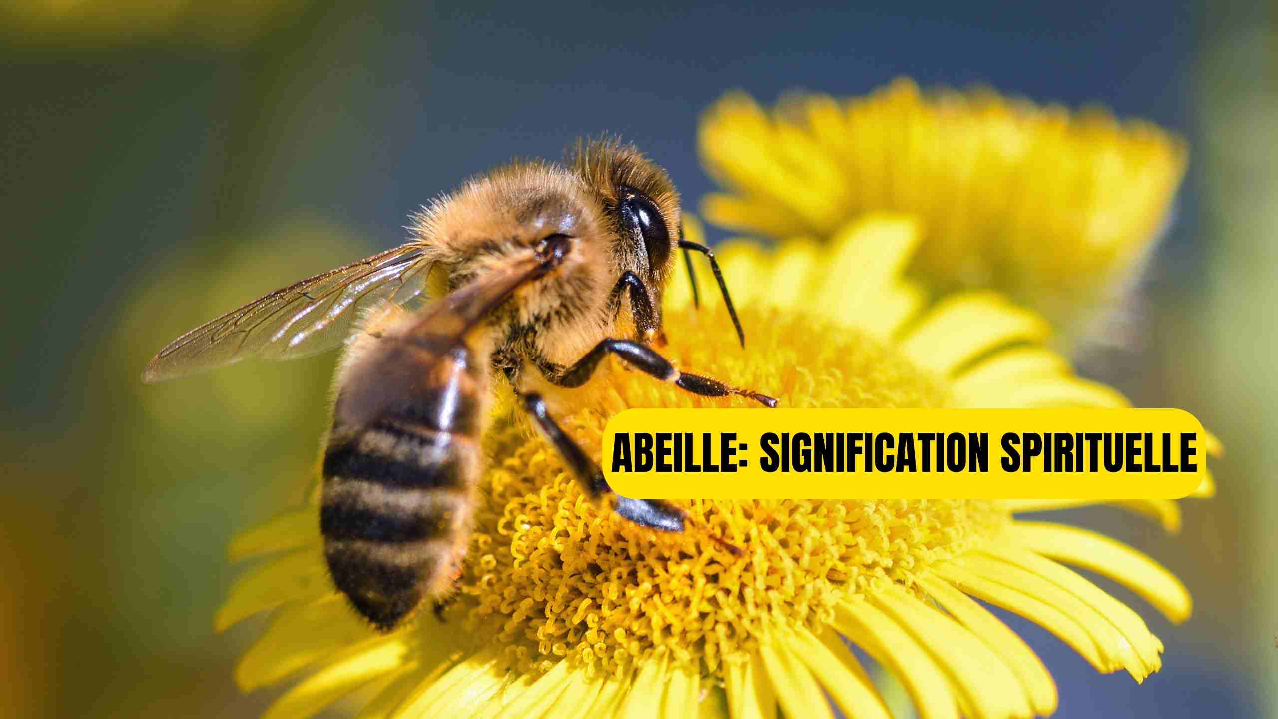 La signification spirituelle de l'abeille