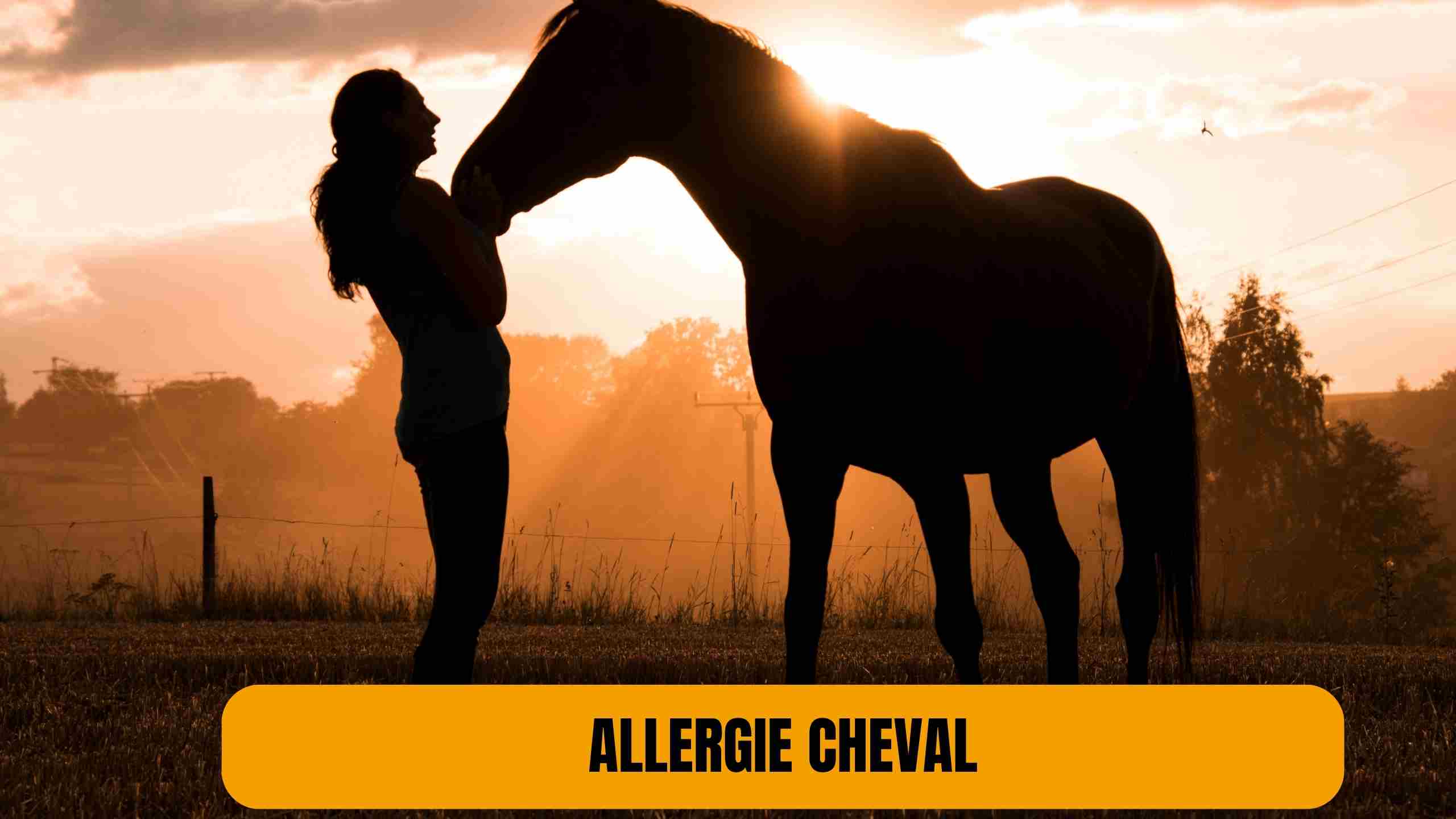 allergie cheval