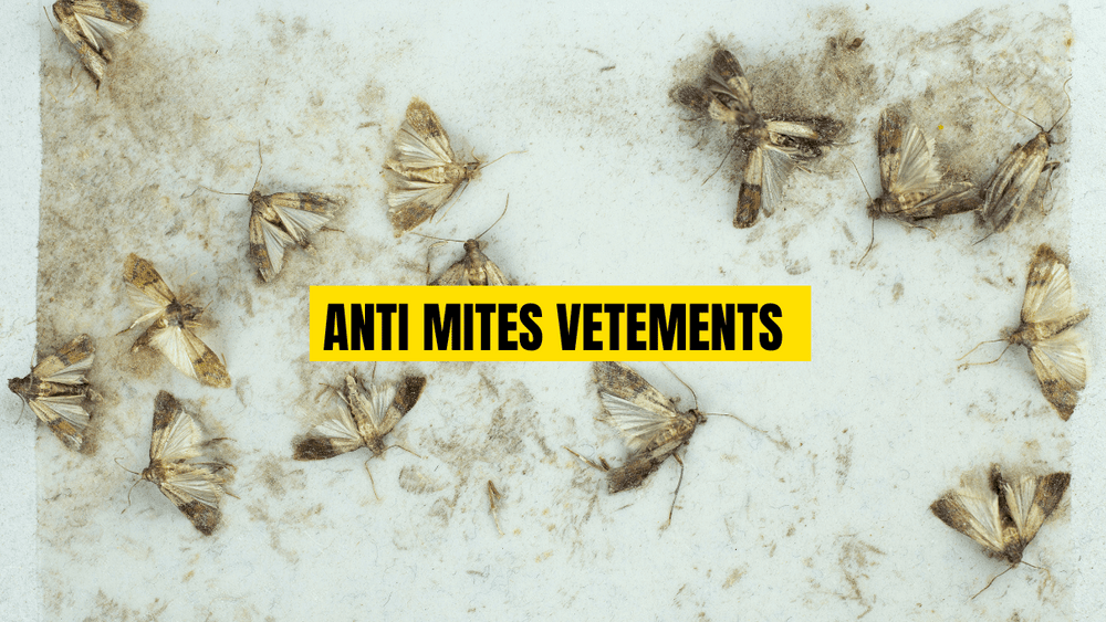 Anti-mites pour vêtements : Solutions et conseils