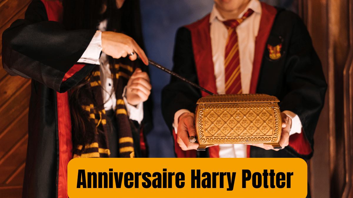 anniversaire harry potter 