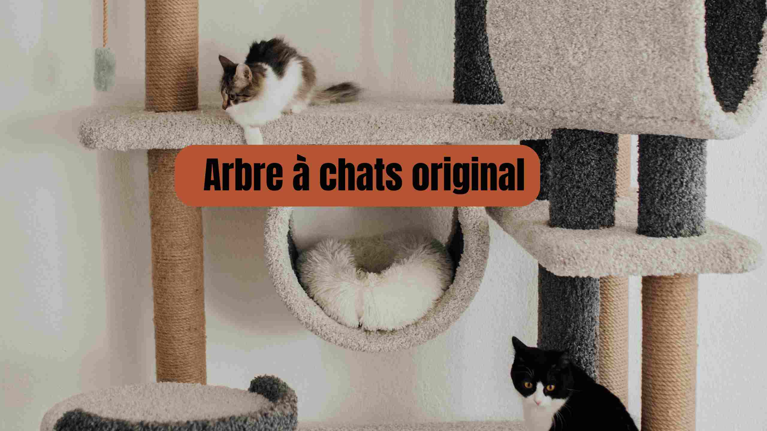 L'arbre à chat original