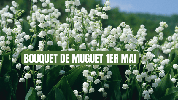 bouquet de muguet 1er mai