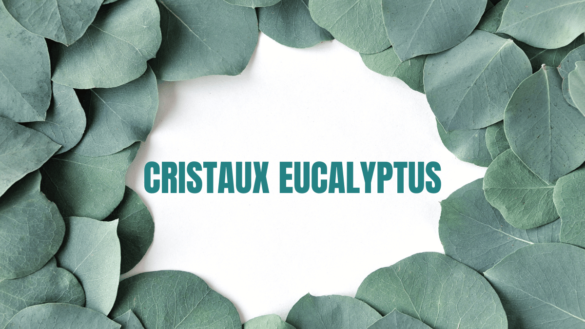 CRISTAUX EUCALYPTUS