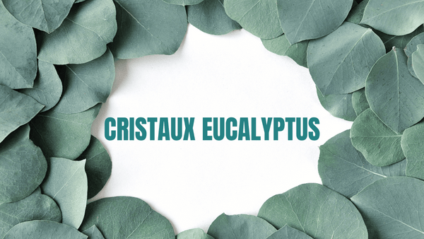CRISTAUX EUCALYPTUS