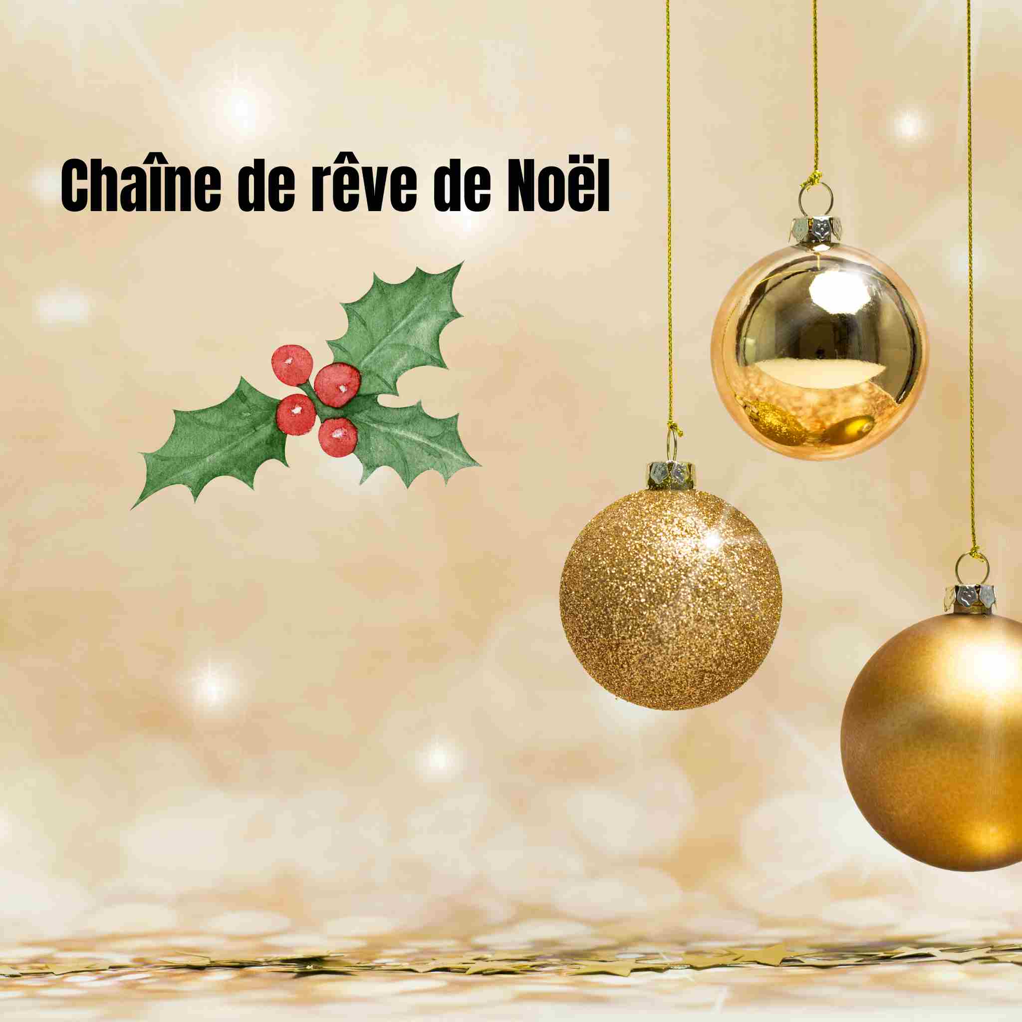 La Chaîne de Rêve de Noël & la Chaîne du Père Noël : tout comprendre