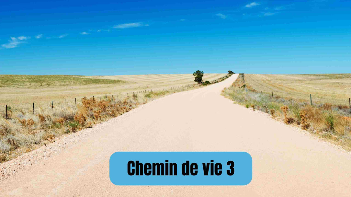 chemin de vie 3