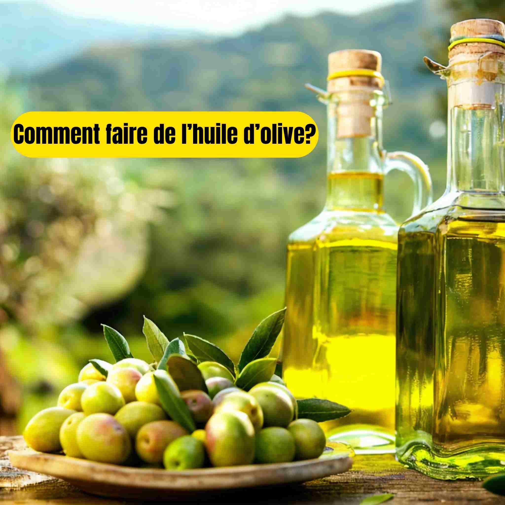 comment faire de l huile d olive